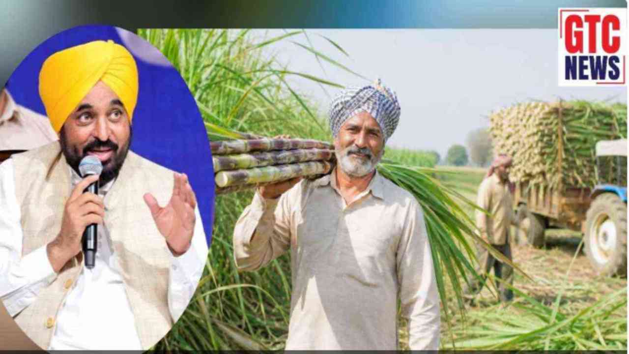 पंजाब के गन्ना किसानों को बड़ी राहत, सरकार ने चुकाया 100 फीसदी बकाया