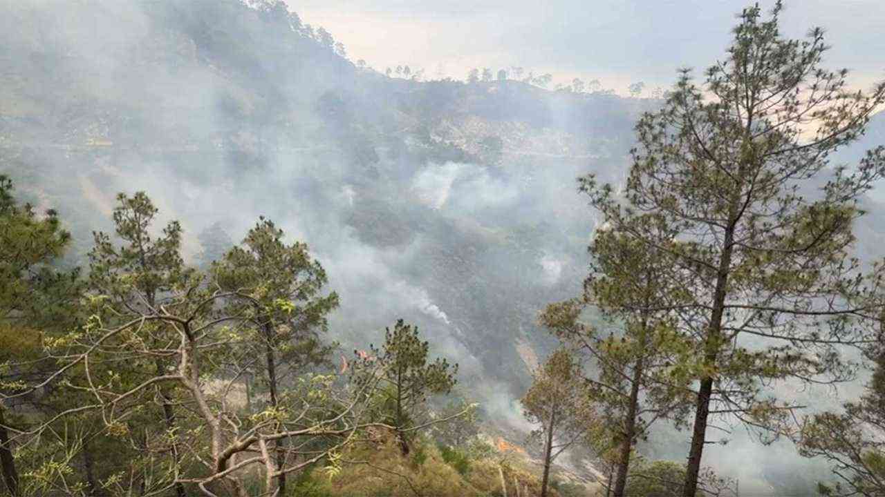 जम्मू-कश्मीर के जंगलों में धधकी आग, सलाल वन क्षेत्र में फैली लपटें