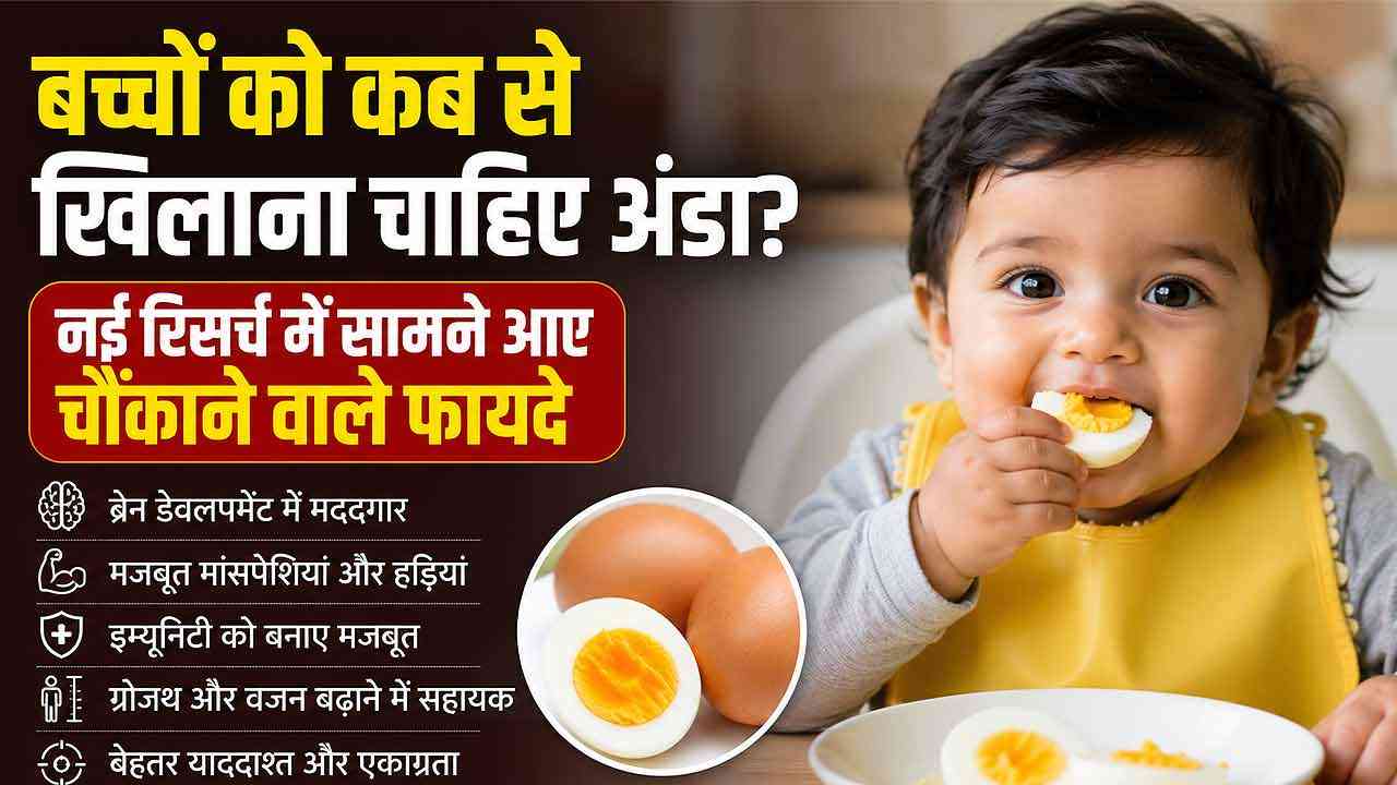 बच्चों को कब से खिलाना चाहिए अंडा? नई रिसर्च में सामने आए चौंकाने वाले फायदे