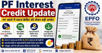 PF Interest Update: आपके खाते में आया ब्याज या नहीं? इन आसान तरीकों से तुरंत करें बैलेंस चेक