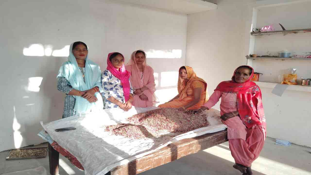 यूपी की महिलाओं ने बनाई 'विदुर हर्बल टी', इंग्लैंड, जर्मनी और फ्रांस में फ्रेंचाइजी खोलने की तैयारी