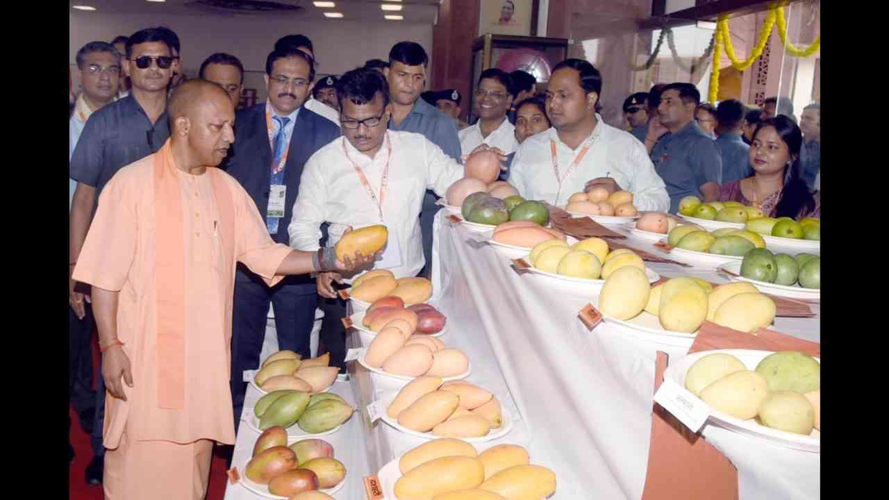 सीएम योगी शुक्रवार को उत्तर प्रदेश आम महोत्सव का करेंगे शुभारंभ