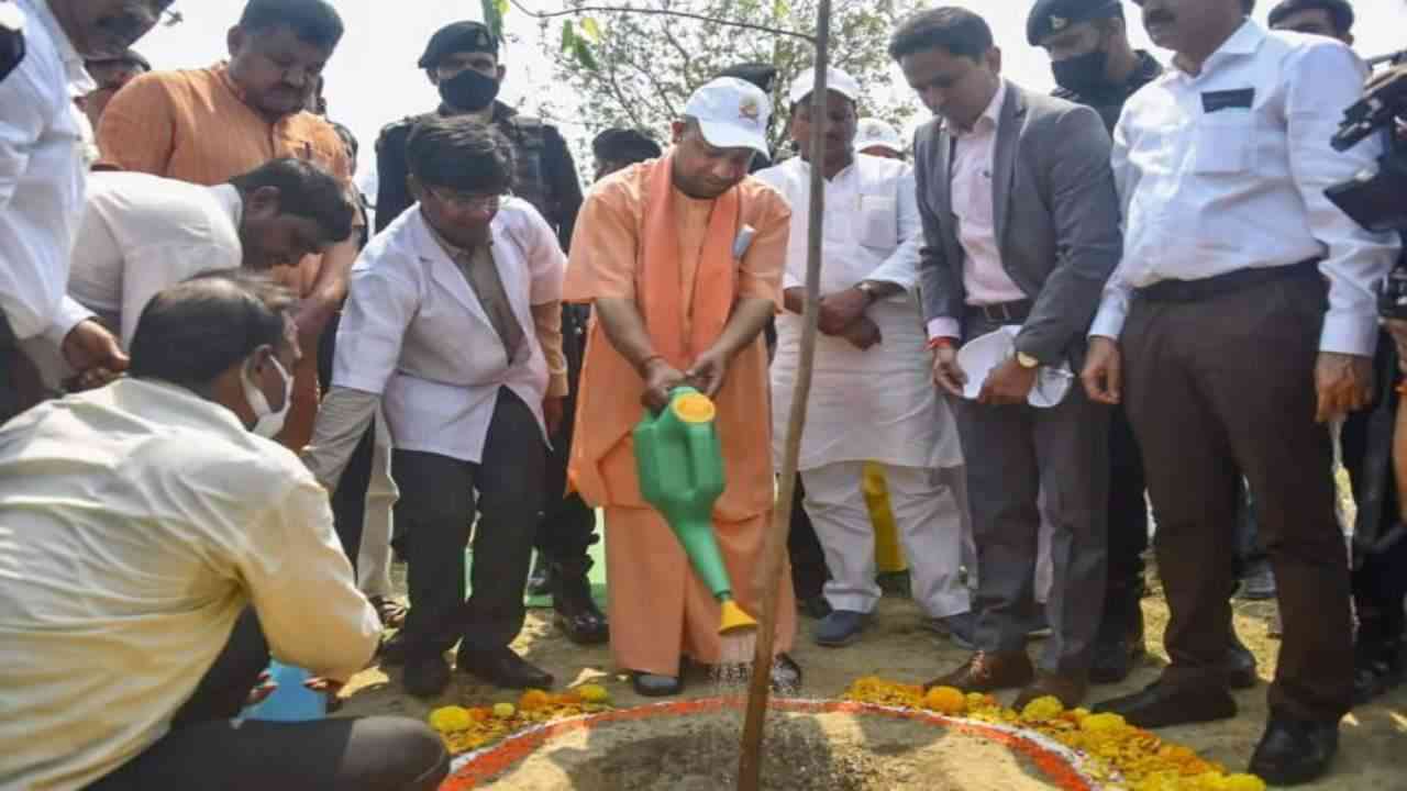 मुख्यमंत्री योगी आदित्यनाथ के नेतृत्व में 12 जुलाई को रोपे जाएंगे 35 करोड़ पौधे