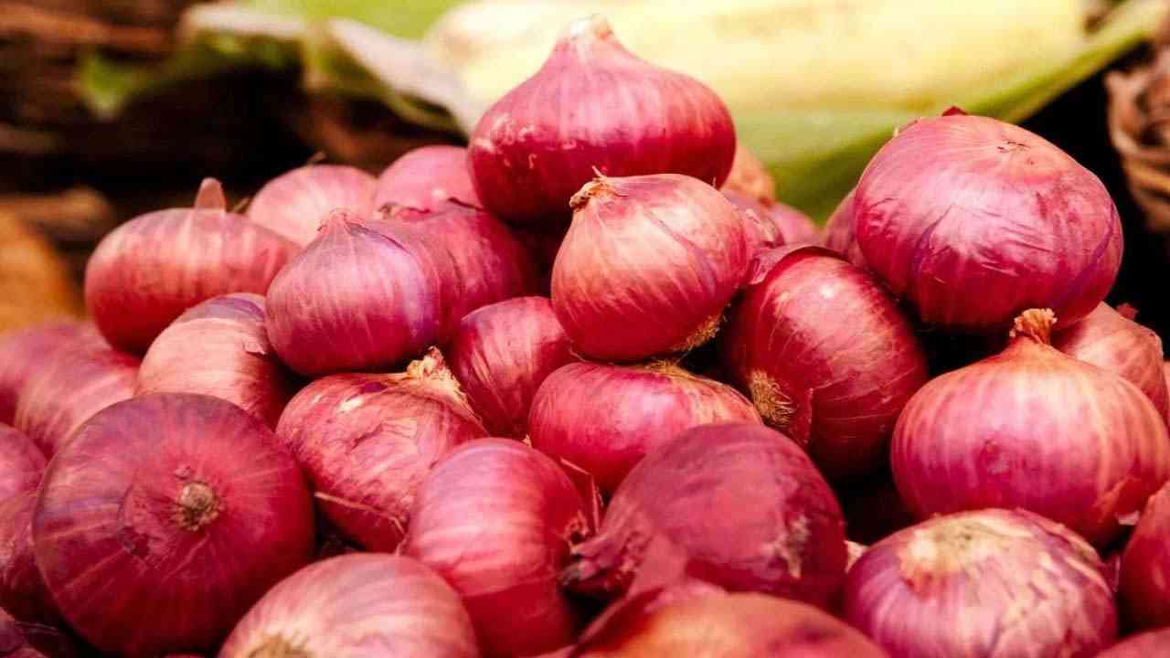Onion Price Hike: प्याज के दाम ने बिगाड़ा Kitchen Budget, कई शहरों में 60 रुपये के पार पहुंची कीमत