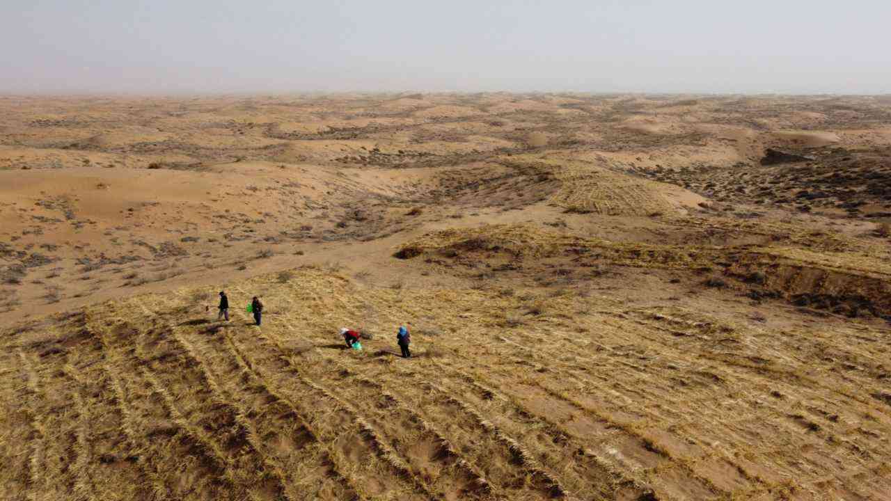 China businesses face new land charges ahead of farmland law