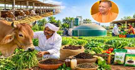 प्राकृतिक खेती से बदलेगी गांवों की अर्थव्यवस्था, यूपी में बनेंगे प्राकृतिक खेती के जिले