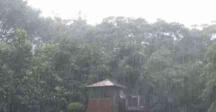 Heavy rainfall lashes parts of Delhi; IMD forecasts thunderstorms, lightning and gusty winds